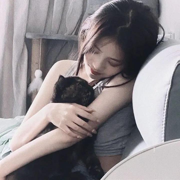 森林进化论第三季